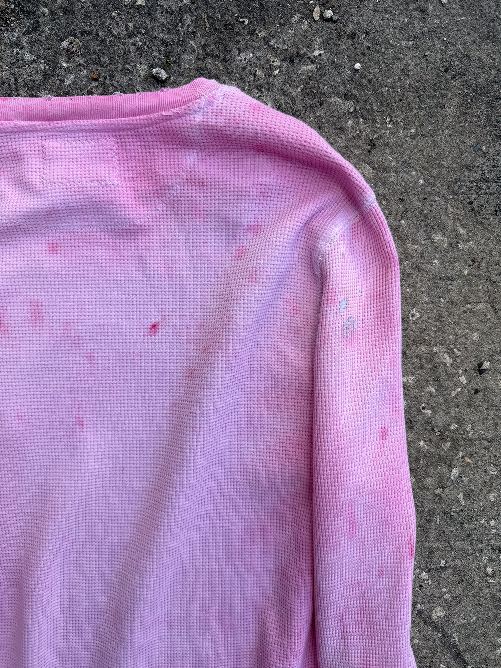 Cherry Blossom Charmander Thermal