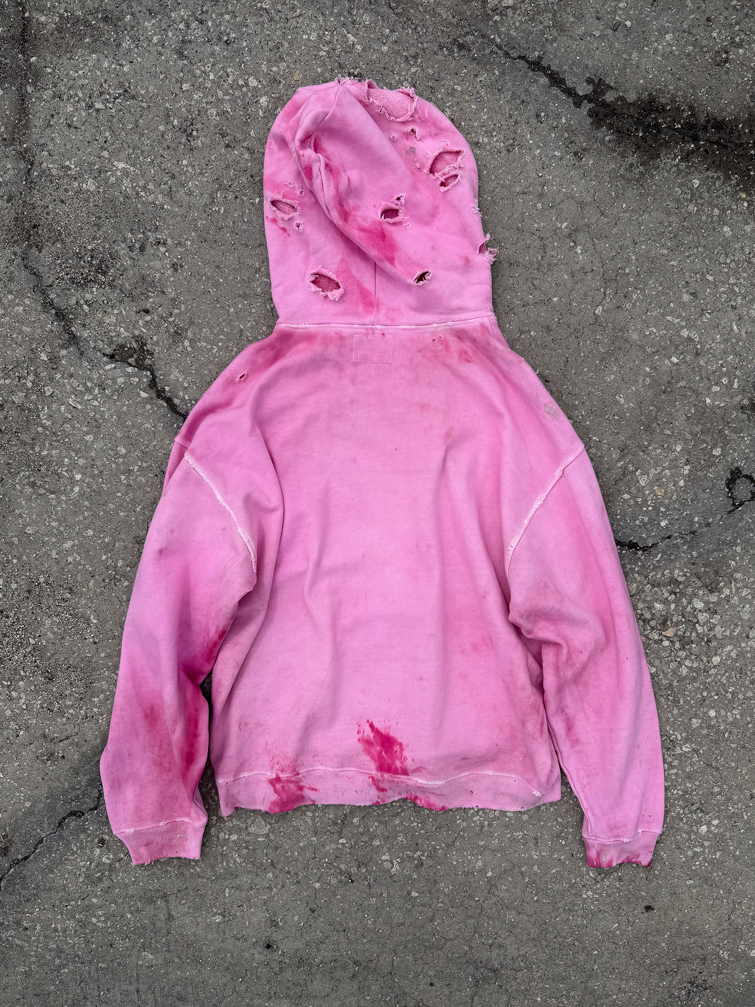 Cherry Blossom Charmander Hoodie